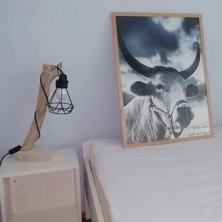 Mystra Apartment Pula Bagian luar foto